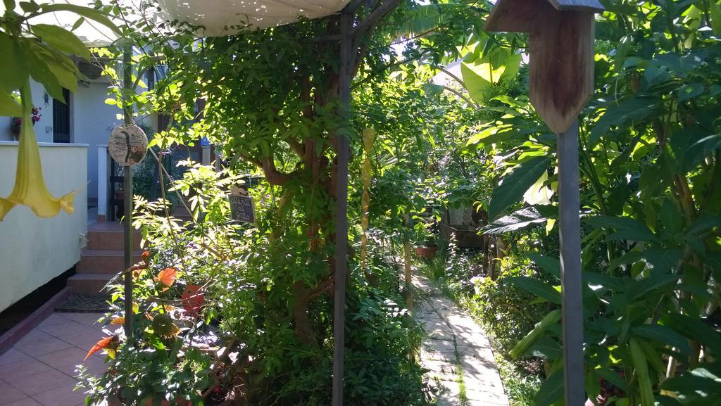 B&B Mare E Sole Μπρίντιζι Εξωτερικό φωτογραφία