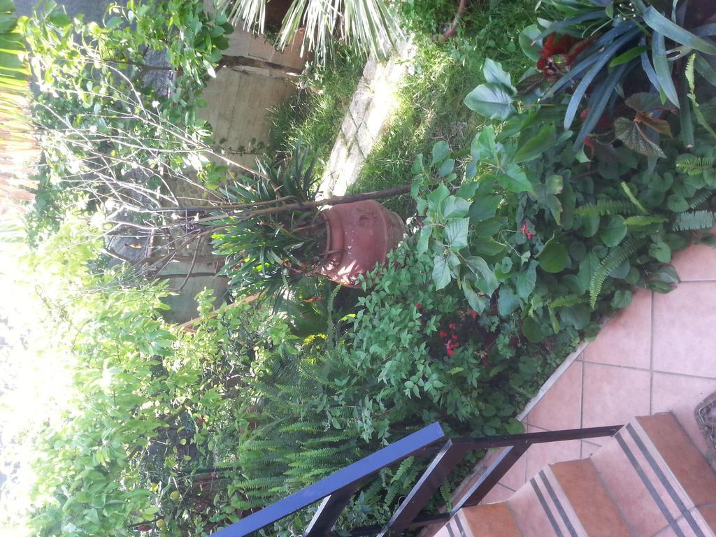 B&B Mare E Sole Μπρίντιζι Εξωτερικό φωτογραφία