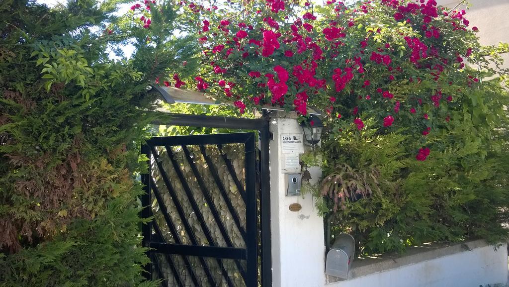 B&B Mare E Sole Μπρίντιζι Εξωτερικό φωτογραφία